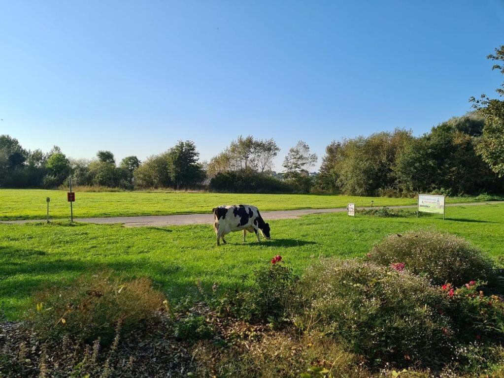 Ferienwohnung Sonnenaufgangsgenuss Harriersand Schwanewede Exterior photo
